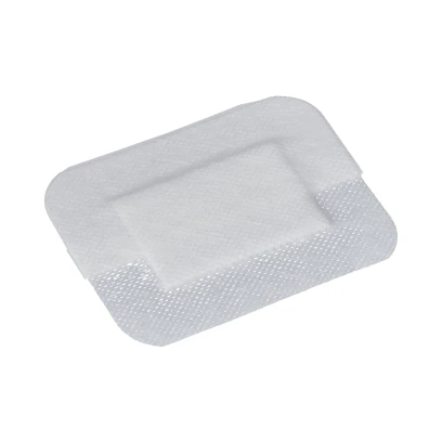 14154-elastopor_steril_8x10_cm_30 ks